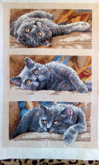 Работа «кот Макс»