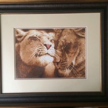 Работа «Львиная нежность»