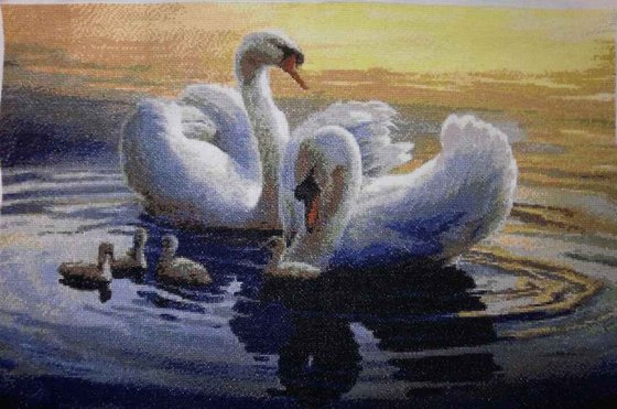 Работа «№63254»