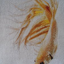 Работа «рыбка петушок»