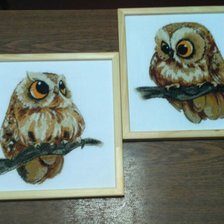 Работа «Совушки»