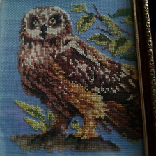 Работа «Сова»