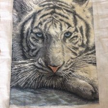 Работа «№63779»