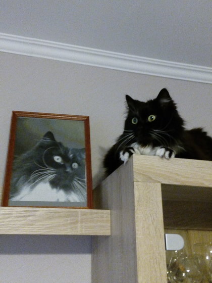 Работа «кета»