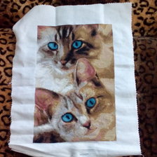 Работа «ОН И ОНА»