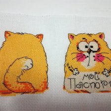 Работа «Обложка на паспорт»