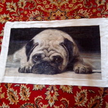 Работа «мопс»