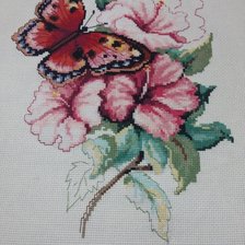 Работа «Гибискус и бабочка»