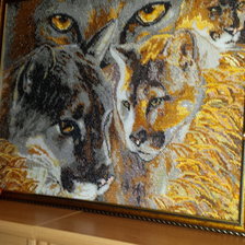 Работа «Взгляд Пумы»