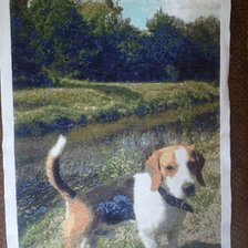 Работа «Бигль»