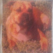 Работа «Ка Де Бо Чейси»