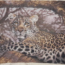 Работа «Леопард»