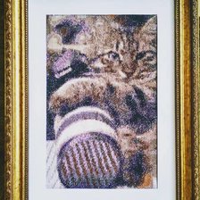 Работа «Кот дальтоника»