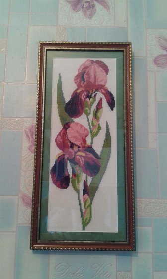 Работа «ИРИСЫ»