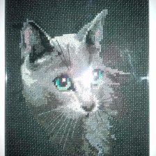 Работа «набор "Риолис"  "Котик"»