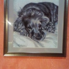 Работа «Кокер»