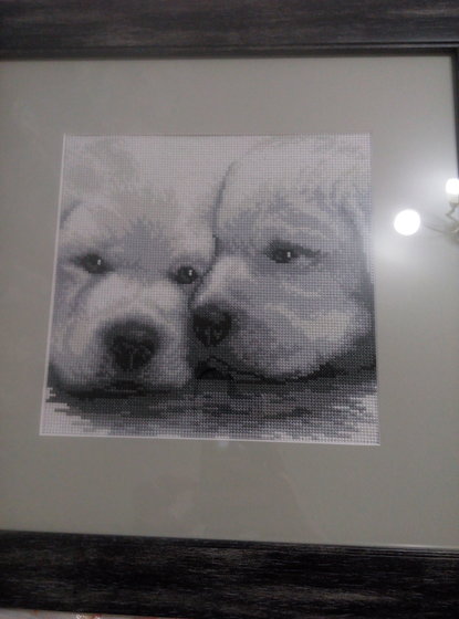 Работа «Щенки»