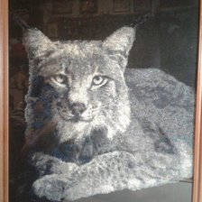 Работа «Рысь»