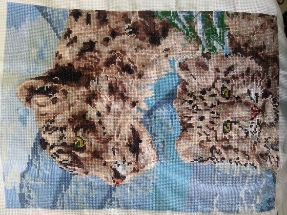 Работа «Снежные барсы»