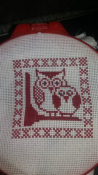 Работа «Дебютные совы»