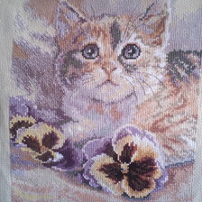 Работа «Софочка  (Кошачьи грезы)»