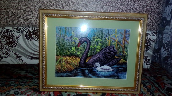 Работа «Черный лебедь»