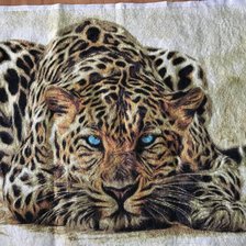 Работа «Леопард с голубыми глазами»