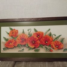 Работа «маки ранние»