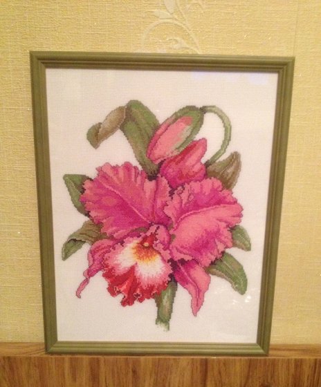 Работа «Орхидея»