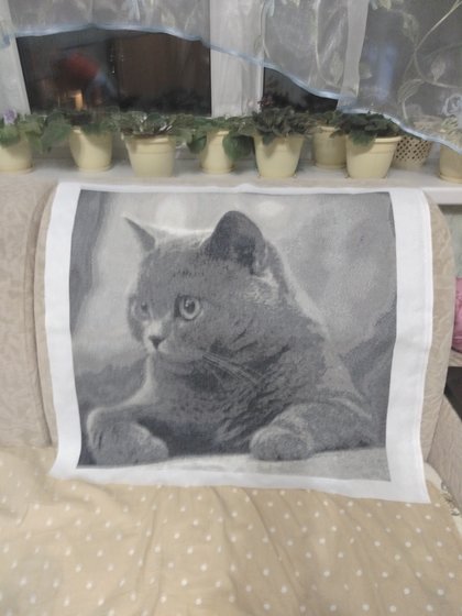 Работа «Котик»