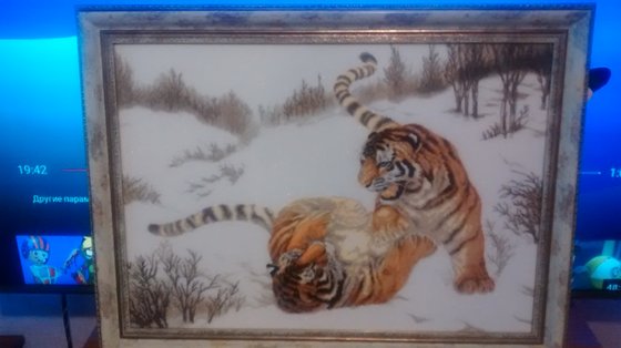 Работа «Игривые тигры. Вышивка крестом»