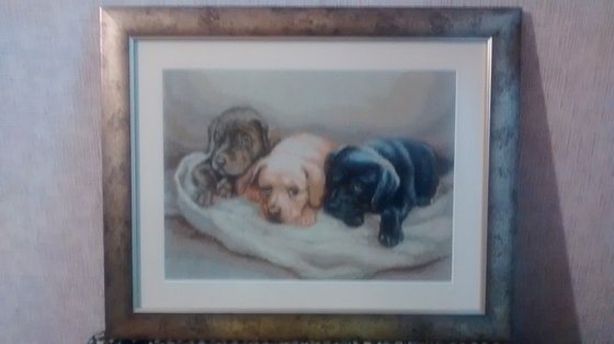 Работа «Три щенка. Вышивка крестом»