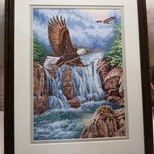 Работа «Царство орла (Eagle's Majesty)»