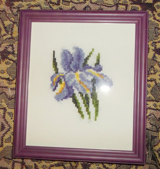 Работа «Цветок ириса.»