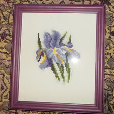 Работа «Цветок ириса.»