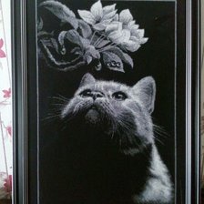 Работа «кот с магнолией»