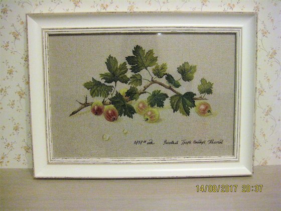 Работа «Крыжовник»