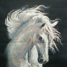 Работа «Андалузский характер»