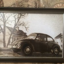 Работа «Жук»