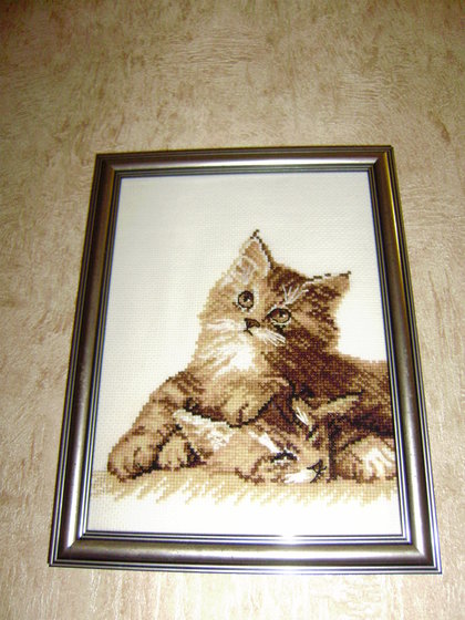 Работа «Оформила своих котят!!!»