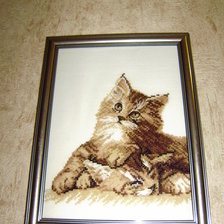 Работа «Оформила своих котят!!!»