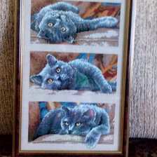 Работа «кот Макс»