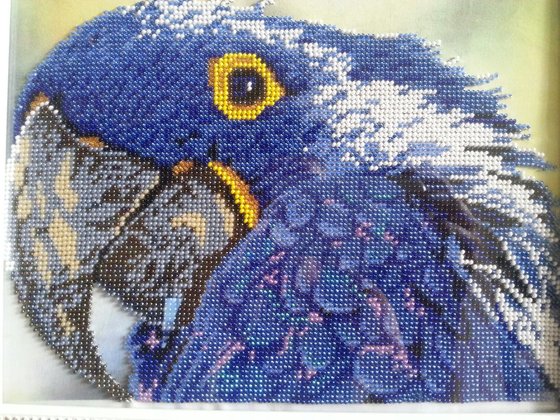 Работа «Попугай.»