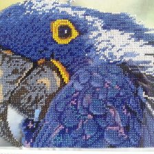 Работа «Попугай.»