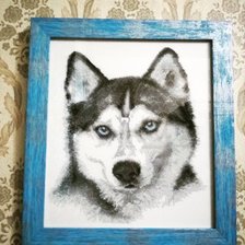 Работа «Взгляд хаски»