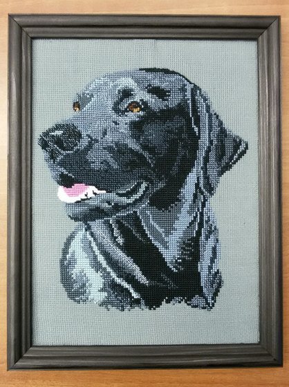 Работа «Черный лабрадор»