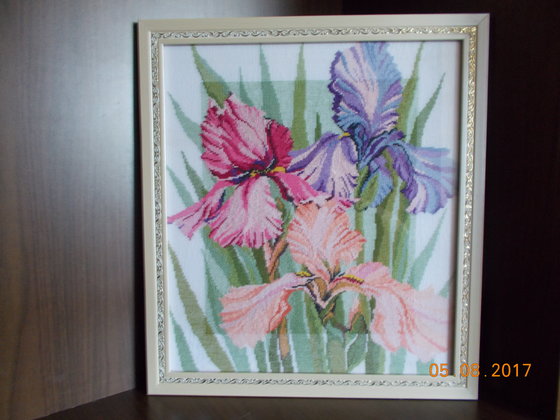 Работа «№66464»