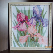 Работа «№66464»