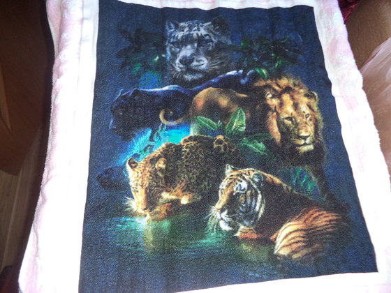 Работа «животные планеты»