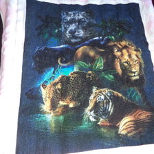 Работа «животные планеты»